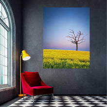 Load image into Gallery viewer, TREE IN CANOLA
