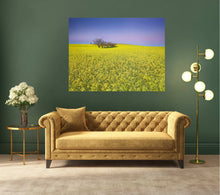 Load image into Gallery viewer, TWELVE TREES