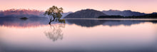 Load image into Gallery viewer, WANAKA TREE