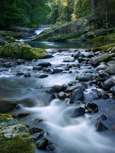 Load image into Gallery viewer, ALLYN RIVER