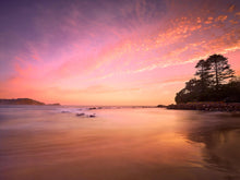 Load image into Gallery viewer, AVOCA GOLD