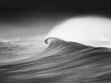 Load image into Gallery viewer, AVOCA  PONY