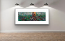 Load image into Gallery viewer, BORANUP  FOREST
