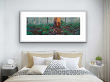 Load image into Gallery viewer, BORANUP  FOREST