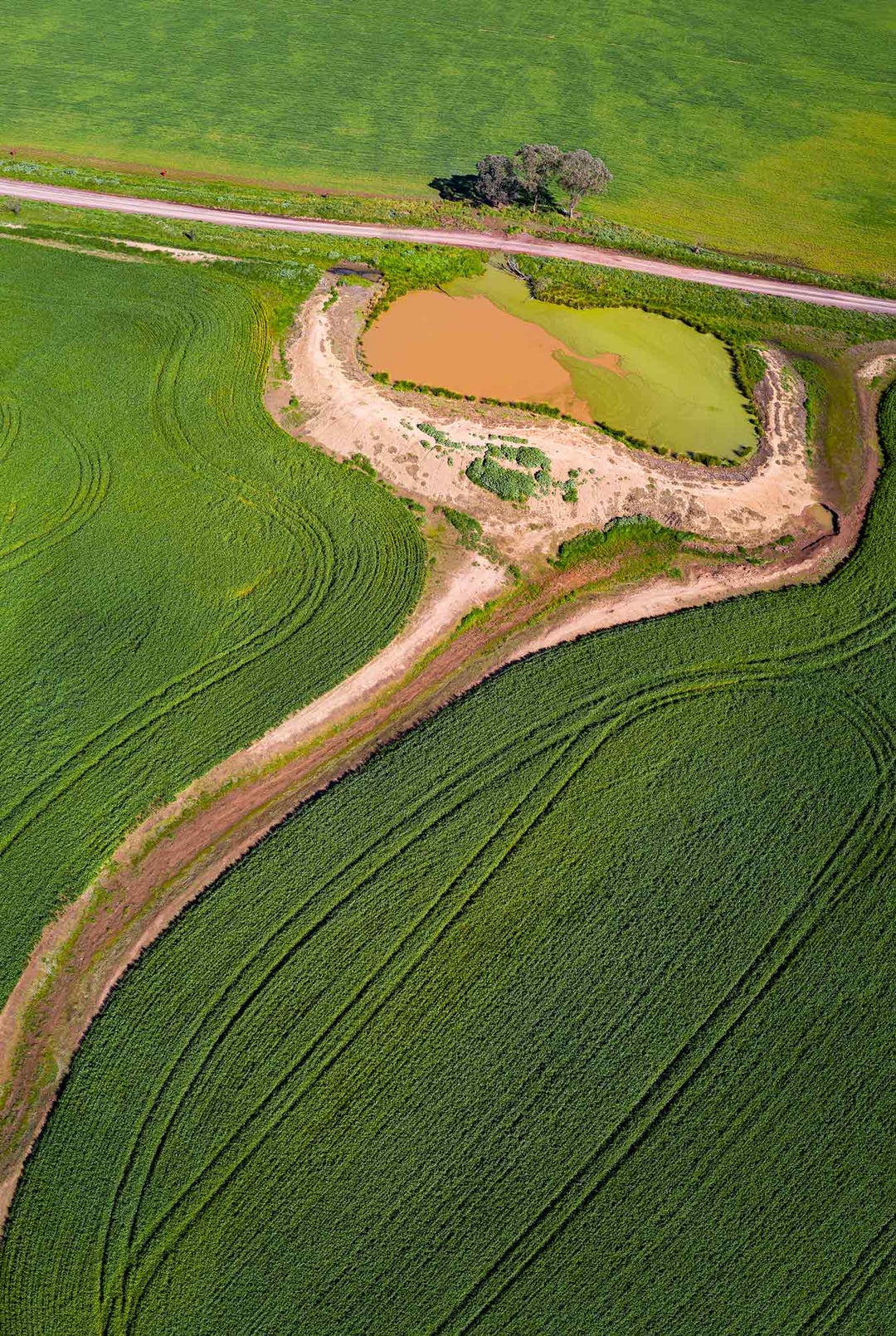 COUNTRY PATTERNS – Glenn Cameron Images
