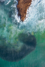 Load image into Gallery viewer, CROCODILE  ROCK