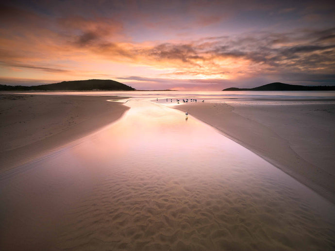 FINGAL DREAMING