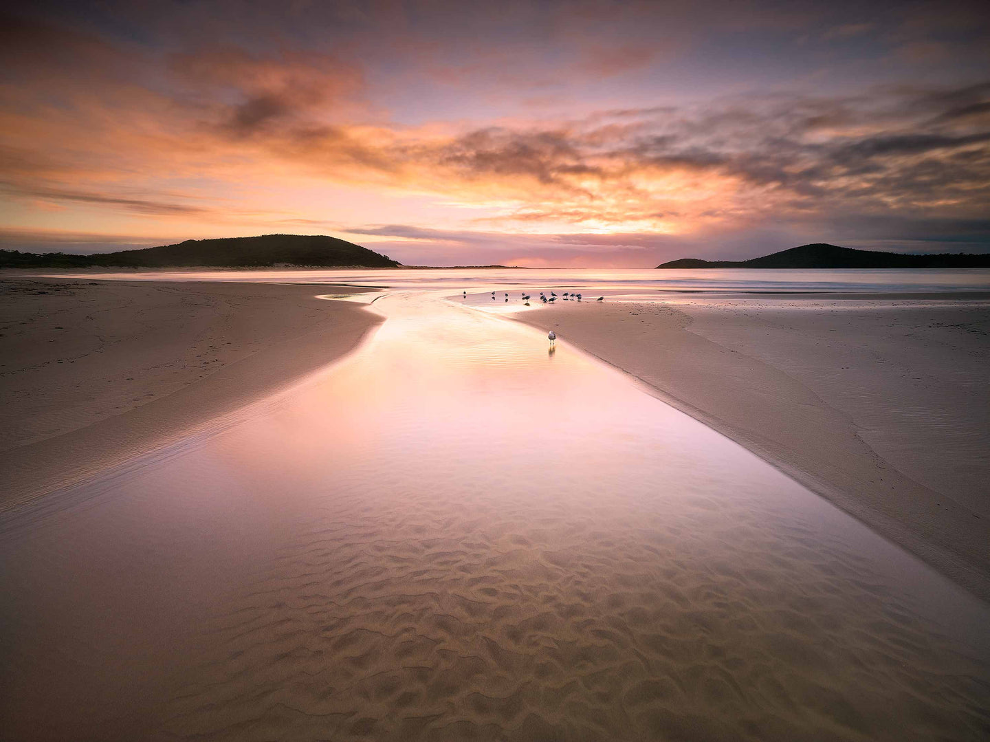 FINGAL DREAMING