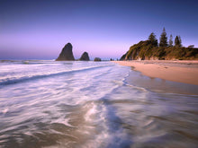 Load image into Gallery viewer, GLASSHOUSE ROCKS