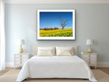 Load image into Gallery viewer, HARDEN COLOURS