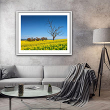 Load image into Gallery viewer, HARDEN COLOURS