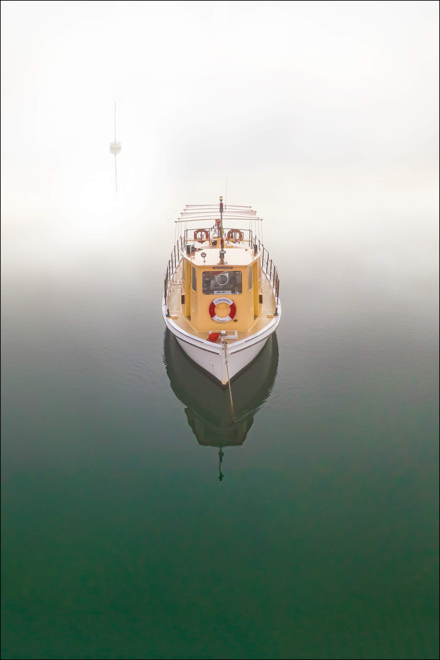 IN THE MIST