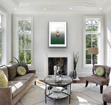 Load image into Gallery viewer, IN THE MIST