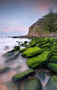 MAC'S ROCKPOOL