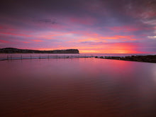 Load image into Gallery viewer, MAC&#39;S IN PINK