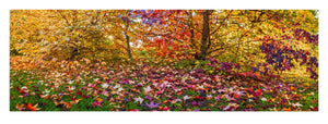 AUTUMN'S END