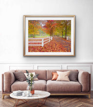 Load image into Gallery viewer, MATCHAM  AUTUMN