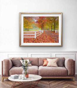 MATCHAM  AUTUMN