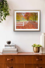 Load image into Gallery viewer, MATCHAM  AUTUMN