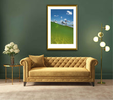 Load image into Gallery viewer, PELICANS