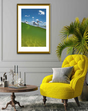 Load image into Gallery viewer, PELICANS