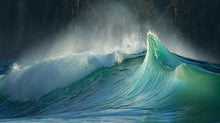 Load image into Gallery viewer, THE SHAPE OF WATER