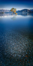 Load image into Gallery viewer, THE WANAKA TREE
