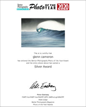 Load image into Gallery viewer, WHITE HORSES