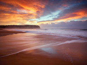WILD LIGHT